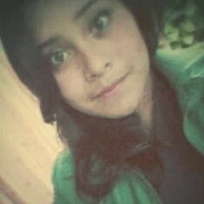 Pilar 12 Github - Vintage Illustration Collection - HD Quality