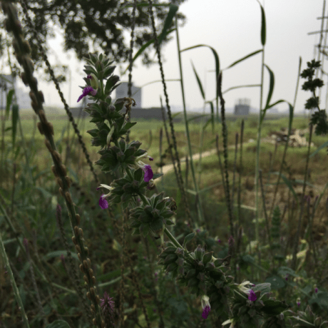 Sanaperween07 Sana Perween Github - Ocean Pattern Collection - HD Quality