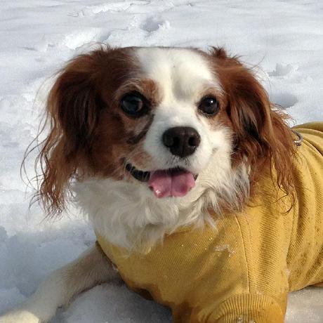 Libnero Imamura Github - High Quality HD Light Images | Free Download