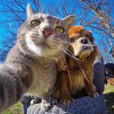 Kejie Cn Github - Vintage Backgrounds - Premium 4K Collection