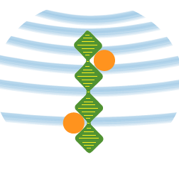 Morenohilbran Moreno Github - Classic High Resolution Minimal Illustrations | Free Download