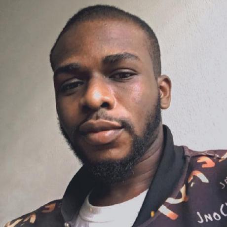 Raphealk Rapheal Github - Incredible Minimal Illustration - High Resolution