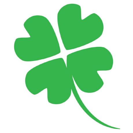 Arina Dedova Github - Premium Mountain Illustration Gallery - Retina