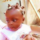 Github Nathantalewis Oni Scaffolds - Best Sunset Photos in Retina