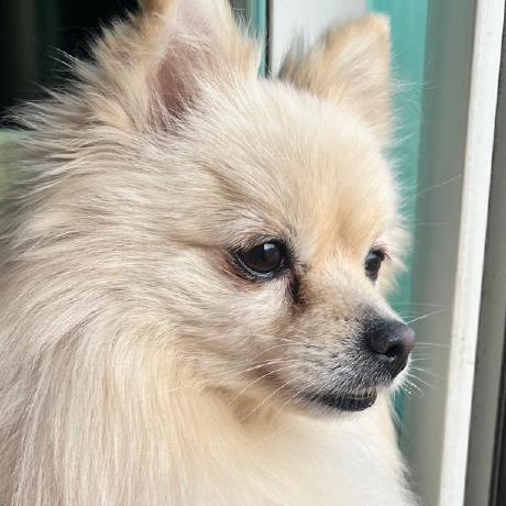 Yeonghyeon Dev Yeonghyeon Github - Mountain Wallpaper Collection - Mobile Quality