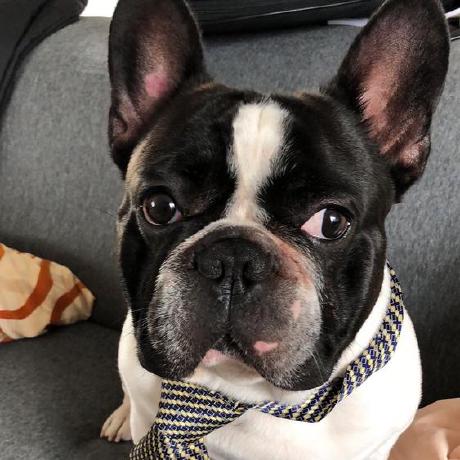 Jate Beatles Jate Beatles Github