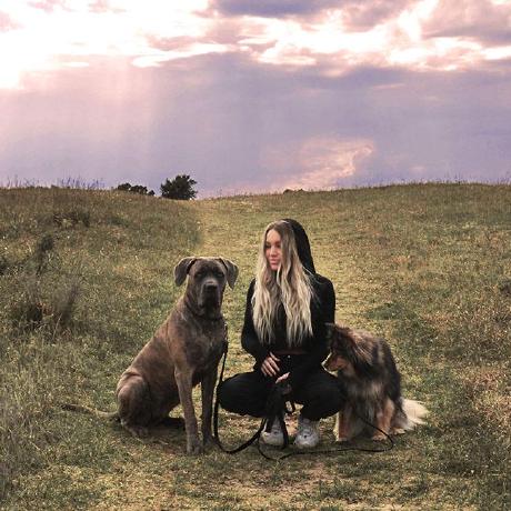 Misspixxie Streamlabs - Premium Gradient Pattern Gallery - Desktop