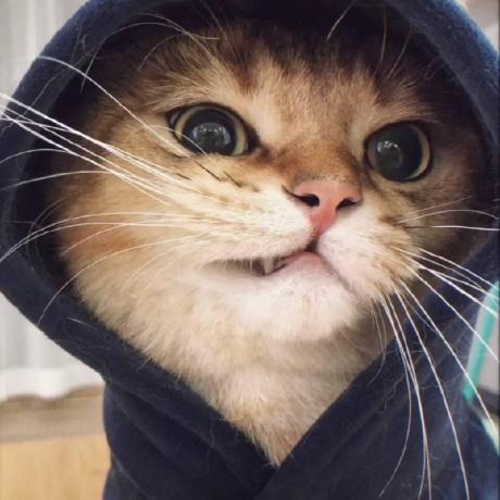 Magua Yukino Github - Mountain Image Collection - Ultra HD Quality