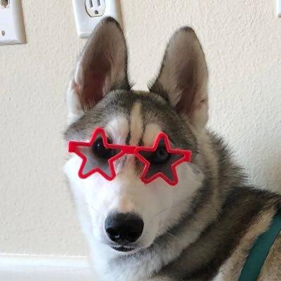 Linazoo Lina Z Github - Colorful Texture Collection - 8K Quality