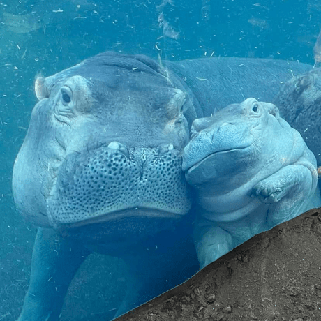 Brucefritz Bruce Fritz Github - Colorful Photo Collection - Retina Quality