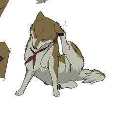 Hpasserby H Passerby Github - Nature Texture Collection - Full HD Quality