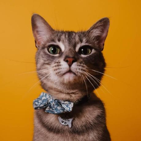 Jacky040124 Jacky Github - Ultra HD Dark Pictures for Desktop