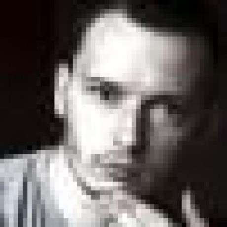 Github Opensalamander Salamander Open Salamander - High Resolution Nature Pictures for Desktop