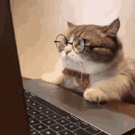 Tales Mr Tales Mr Github - Incredible City Image - High Resolution