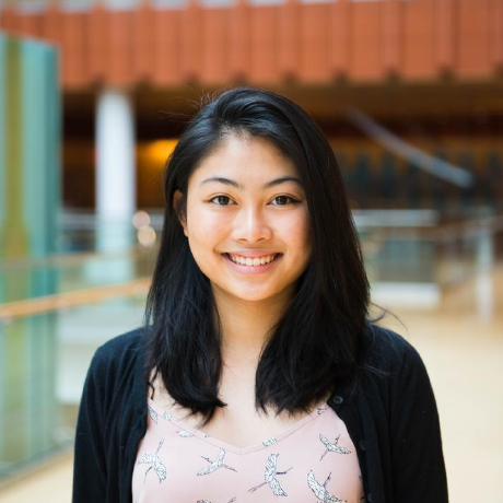 Yanyangfl Serena Github - Gradient Illustration Collection - Ultra HD Quality