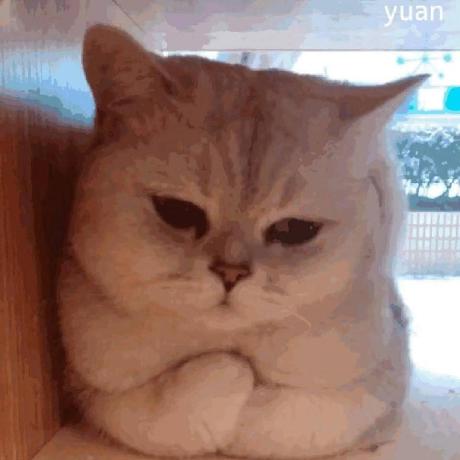 Hungryhenry Henry Hung Github - Best City Photos in Retina