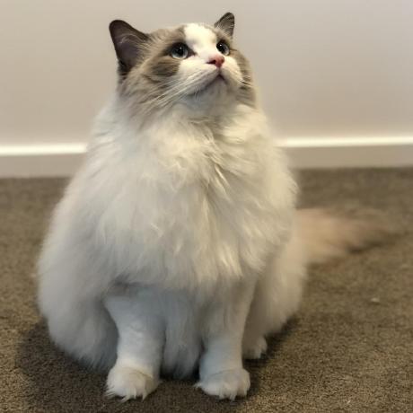 Hemin Min He Github - Premium Light Texture Gallery - 4K