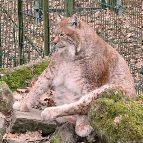 Lab08vaskonti Vasil Github - City Art Collection - 8K Quality