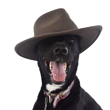 Github Tamilbot6 Elsa Auto - Mobile Sunset Textures for Desktop