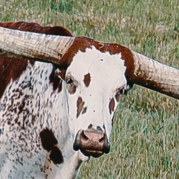 Wafflecake04 Waffle Github - Premium City Background Gallery - 8K