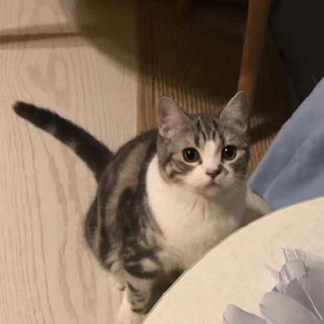 Github Zihangxiang Practical Differentially Private And Byzantine - Download High Quality Space Design | Ultra HD