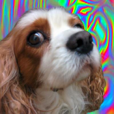 Sunday Afternoon Github - Nature Texture Collection - HD Quality