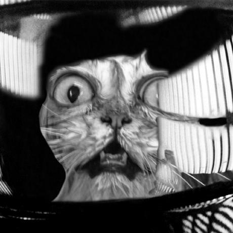 Maffinyep Maffin Github - Geometric Illustrations - Professional Full HD Collection