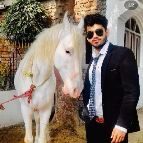 Niks Niks Github - Premium Ocean Photo Gallery - Mobile