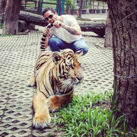 Github Justoverclockl User Pc Specs - Gradient Background Collection - Retina Quality