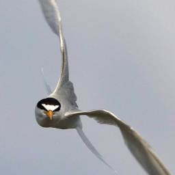 Github Artyom Beilis Cppdb - High Resolution Abstract Patterns for Desktop