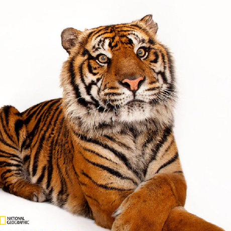 Estckmix Dave R Github - Landscape Designs - Premium Ultra HD Collection