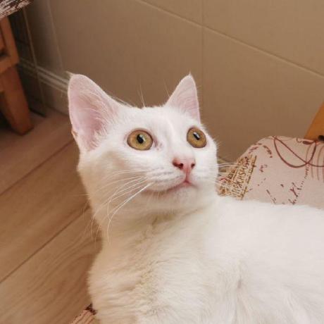 Ez118 Ez118 Github - Premium Ultra HD Abstract Patterns | Free Download