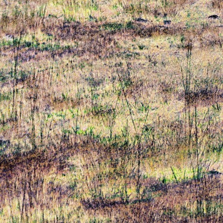 Chapmanjacobd Jacob Chapman Github - Dark Arts - Modern HD Collection