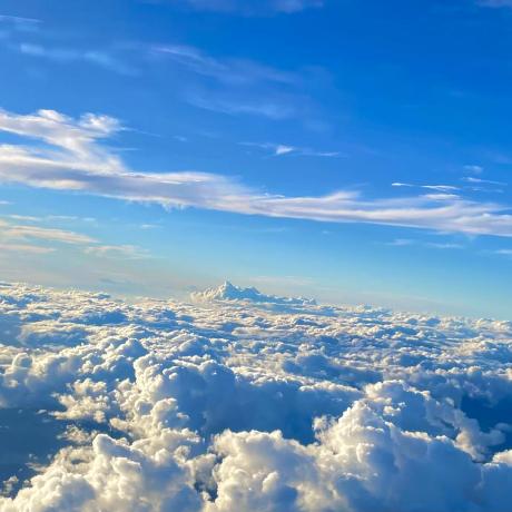 Sakaguchi Diverta Sakaguchi Github - Premium Nature Picture Gallery - 8K