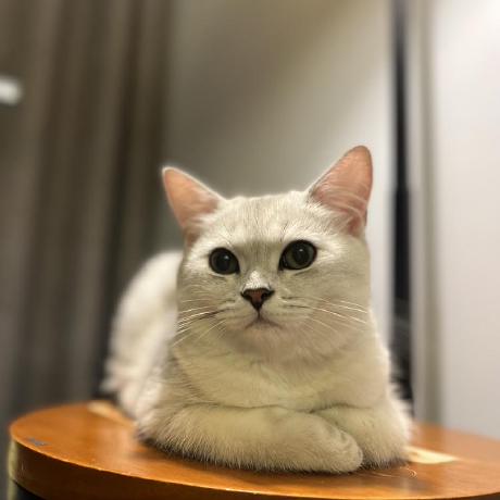 Jaggi 0513 Github - Best Ocean Images in Full HD