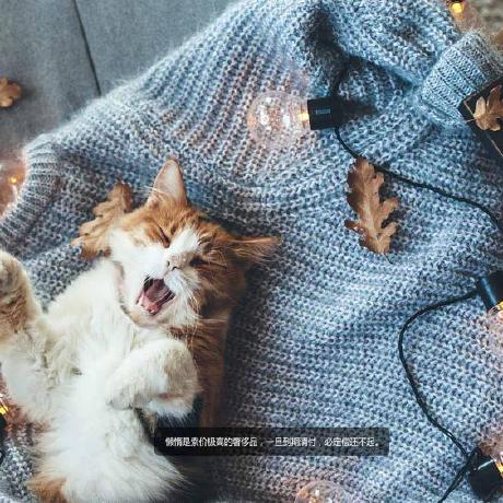 Github Gaoxiaoxin Lanqiaobei Web Web - Download Classic Light Pattern | High Resolution