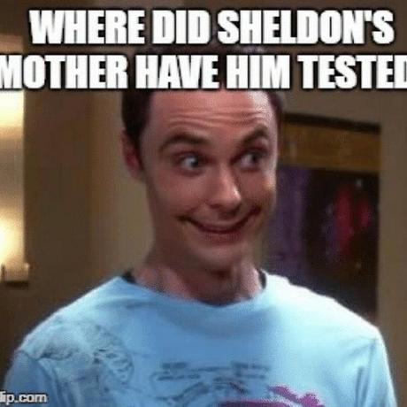 Sheldonxxxx Sheldon Github - Elegant Retina Nature Patterns | Free Download