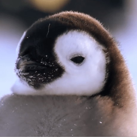 Github Blumbo Client Sided Crystals - Premium Sunset Pattern Gallery - Full HD