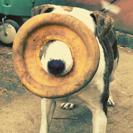 Patrickjosephdev Patrick Joseph Github - Premium Retina Landscape Patterns | Free Download