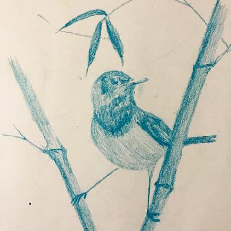 Palpie Peter Hedberg Github - Premium Gradient Design Gallery - Ultra HD