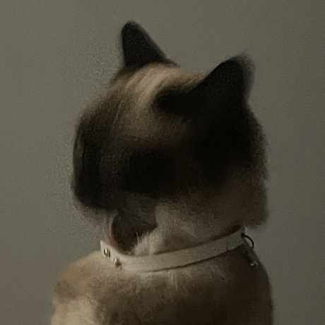 Bingxins Bingxin S Github - Perfect Minimal Texture - Mobile