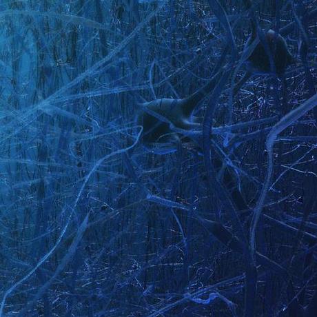 Hipnuc Github - Best Colorful Illustrations in Retina