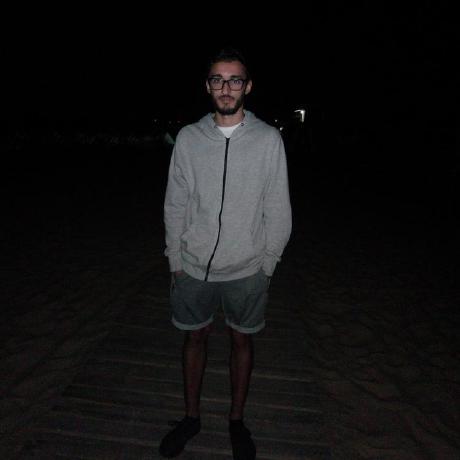 Nelsonsilva Nelson Silva Github - Premium Colorful Illustration Gallery - High Resolution