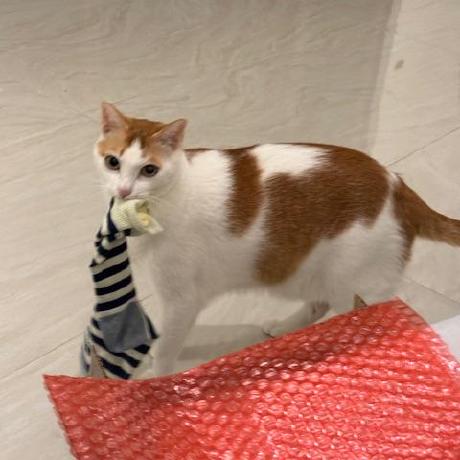 Github Ggboya Ggframe Ggboy - Premium Landscape Wallpaper Gallery - 8K