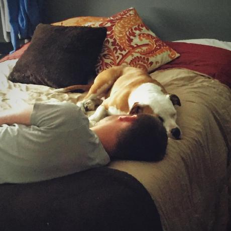 Moritz Sf Github - Premium Colorful Design Gallery - High Resolution