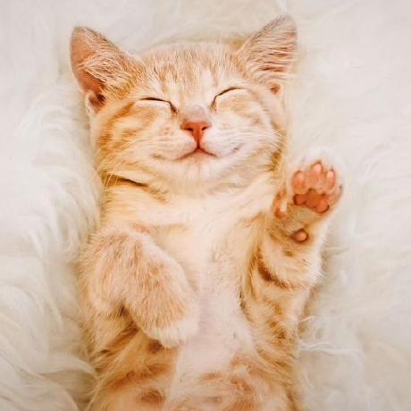 Github Dasha Ver Pythonparserkufar - Download Premium Minimal Picture | Desktop