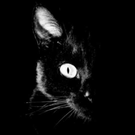 Iliazenkov Ilia Zenkov Github - Ultra HD Light Patterns for Desktop