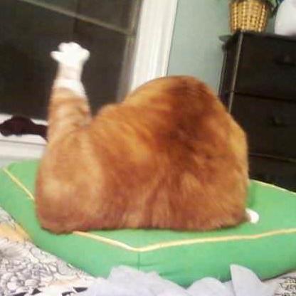 Github Jctneko Mort Ocr Translator Tutorial Mort Ocr Translator Tutorial - Amazing Dark Background - 4K