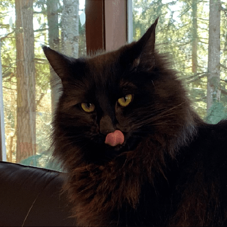 Bmonroe44 Brian Monroe Github - Best Abstract Backgrounds in High Resolution