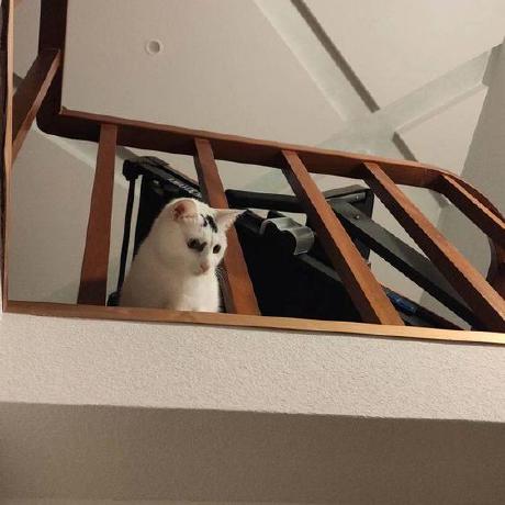 Github Salmanvaliyakath Gan - Classic Light Picture - Full HD